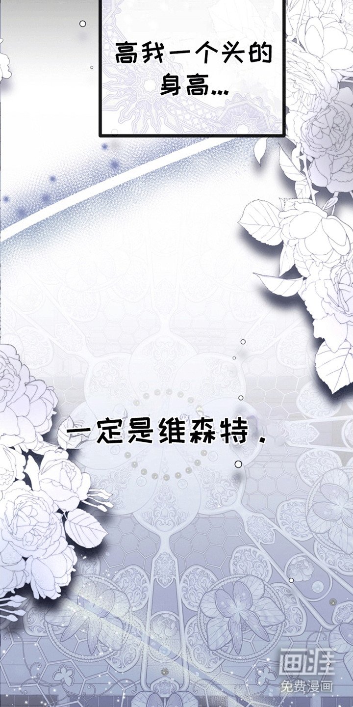 第11章：见面