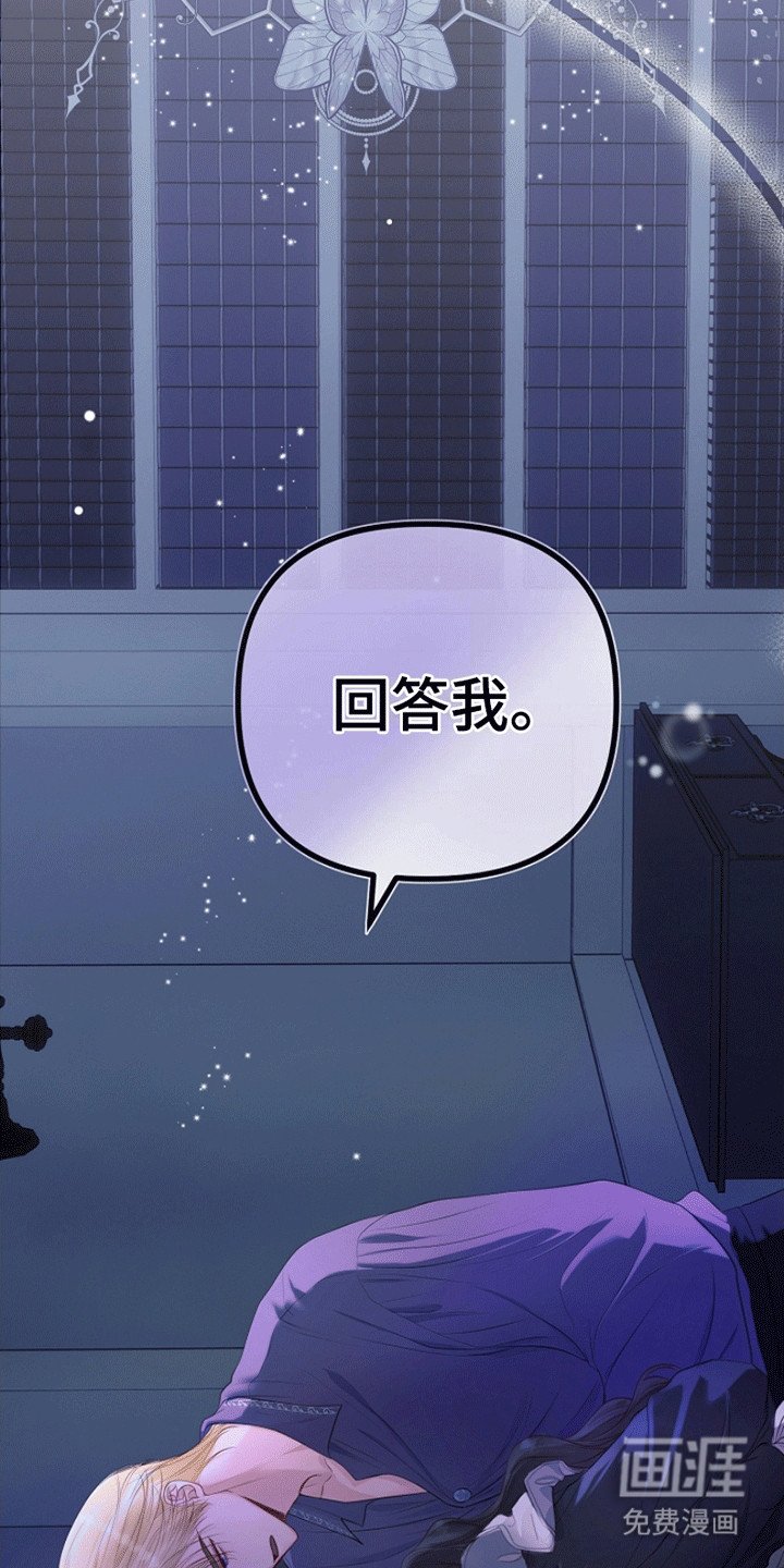 第11章：见面