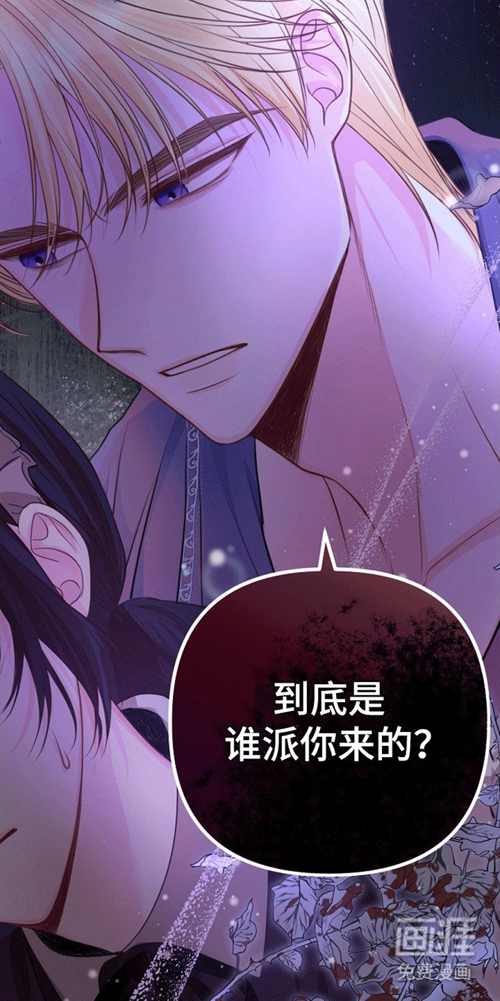 第11章：见面