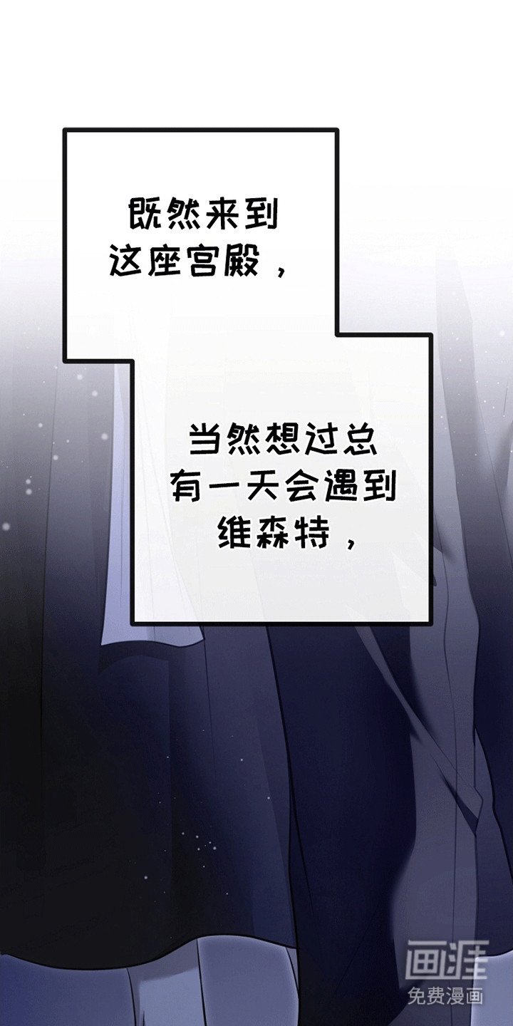 第11章：见面
