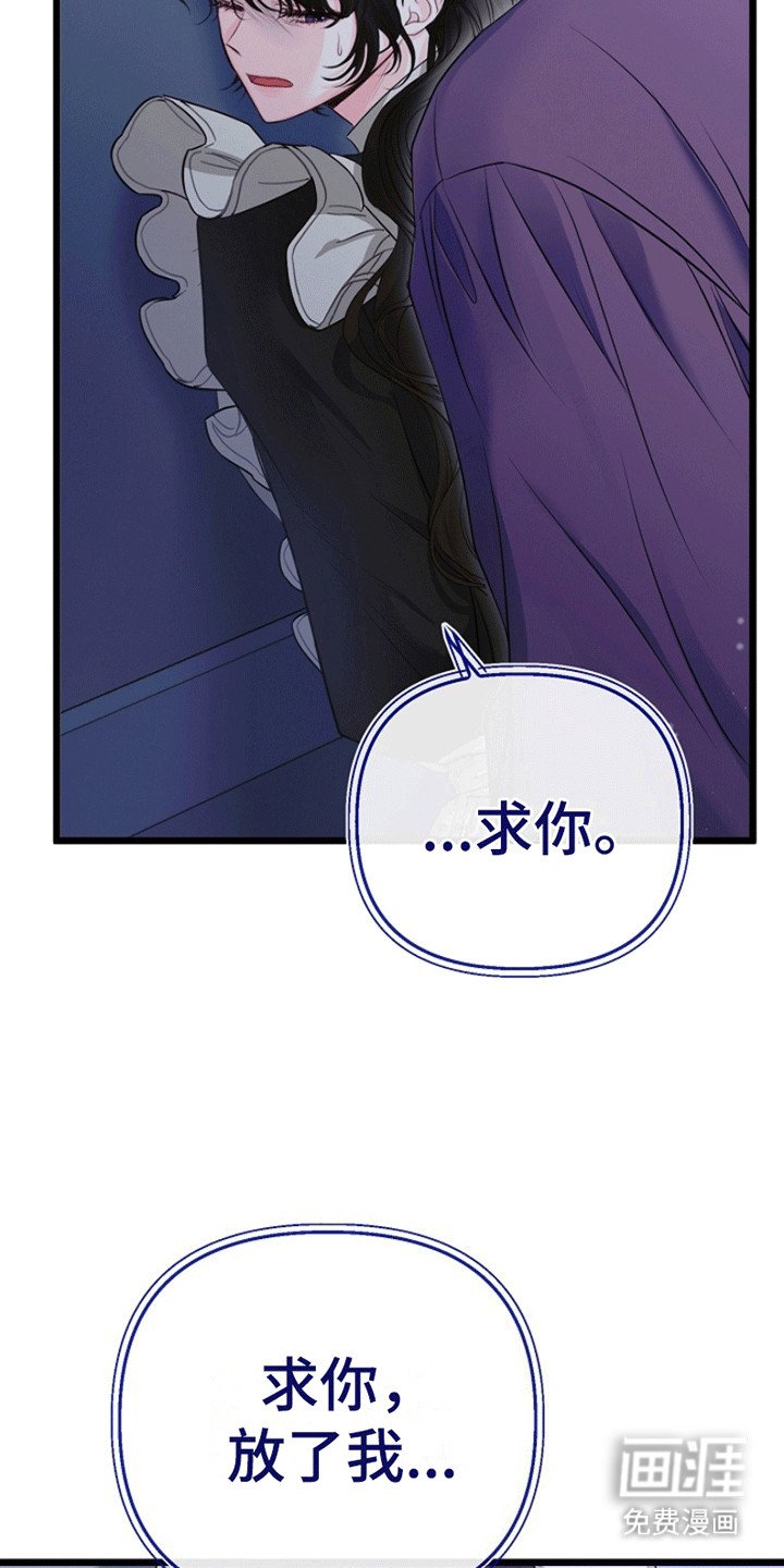 第11章：见面