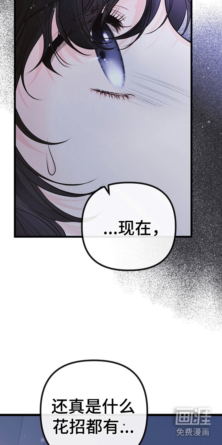 第11章：见面