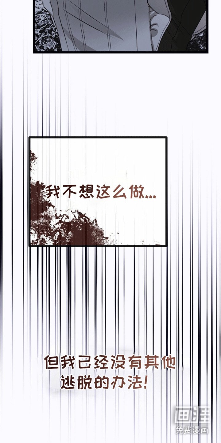 第12章：相似