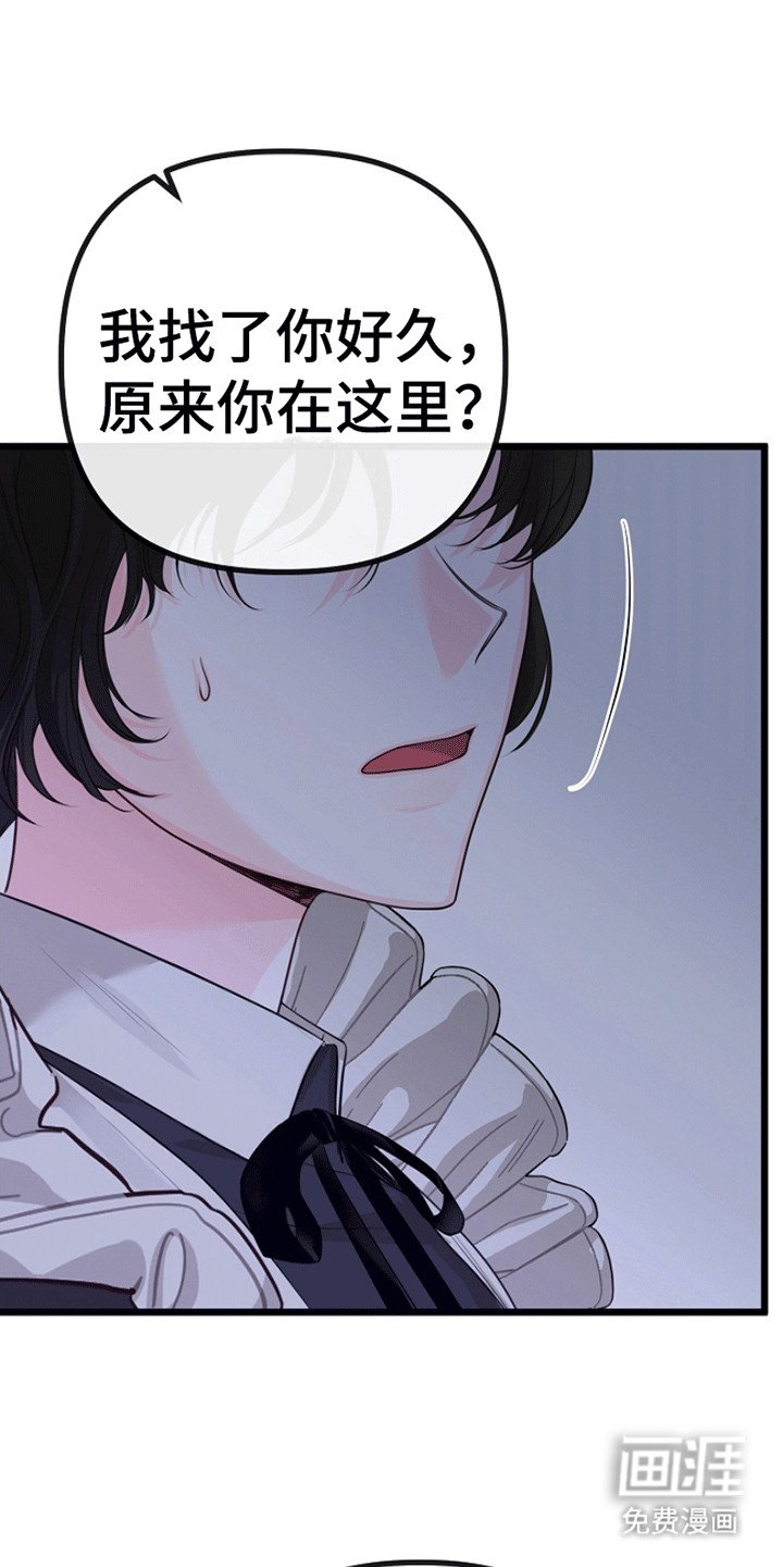 第12章：相似