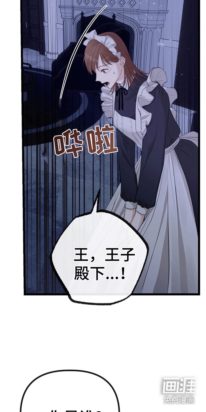 第12章：相似