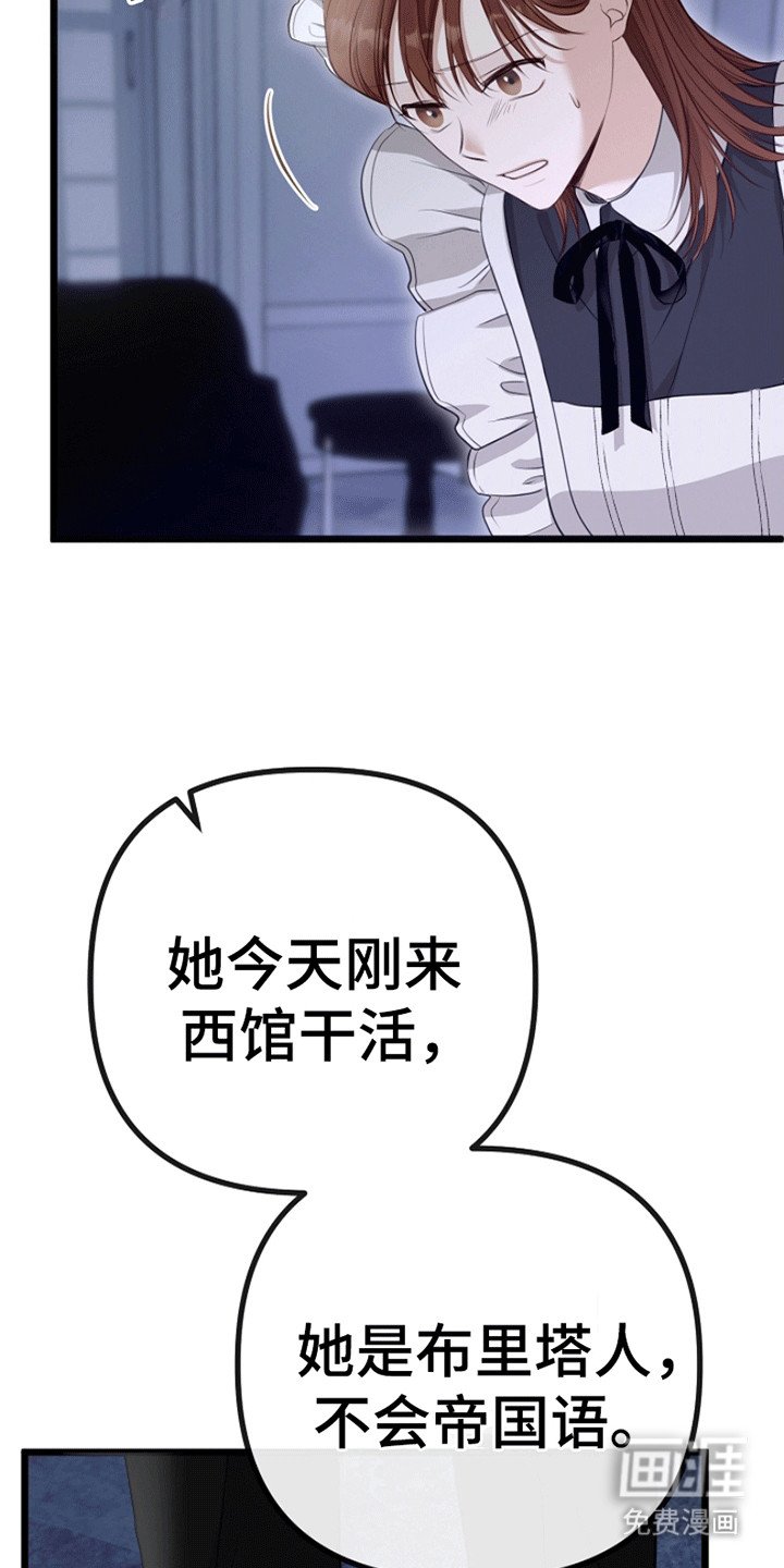 第12章：相似