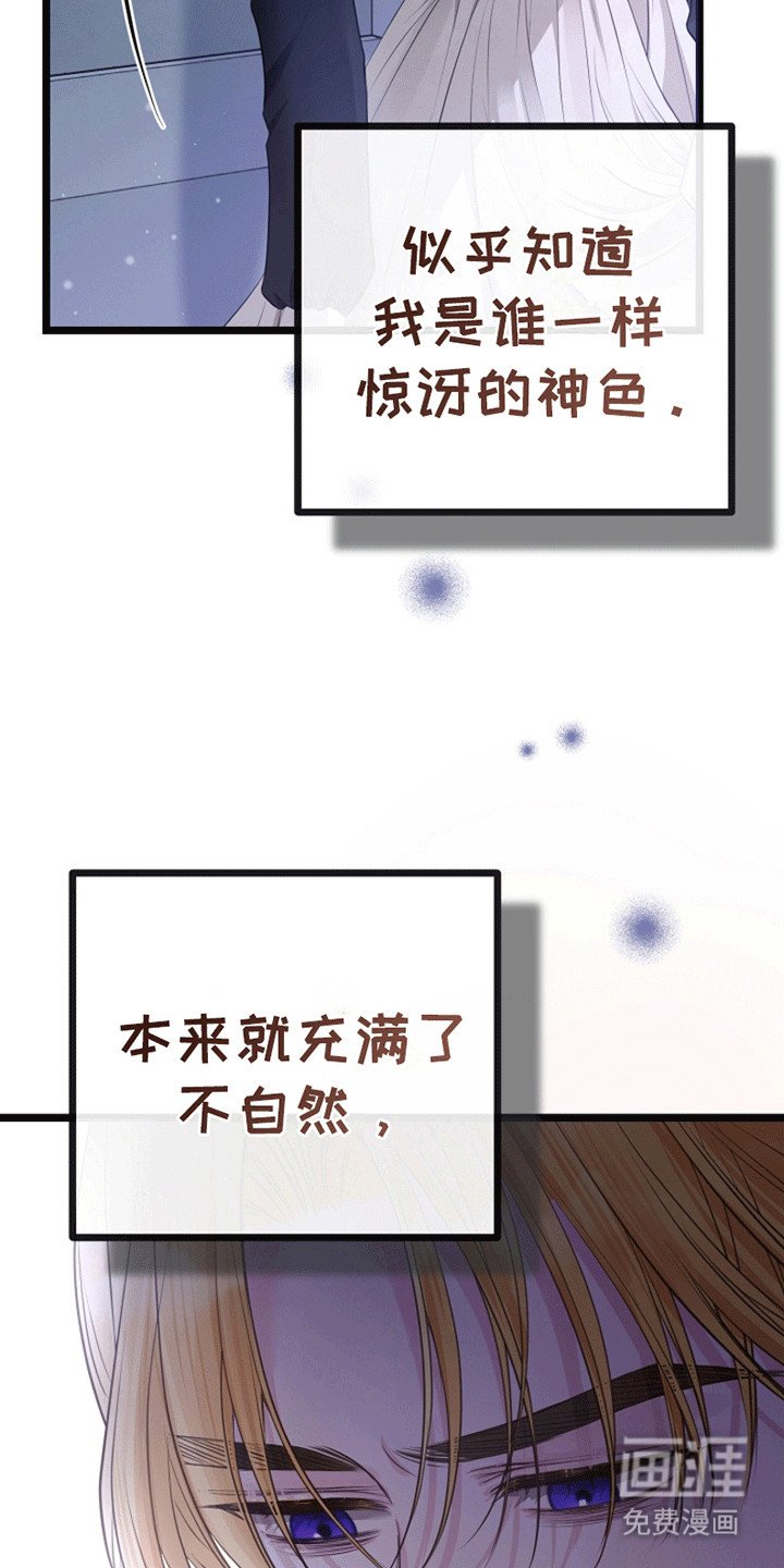 第12章：相似