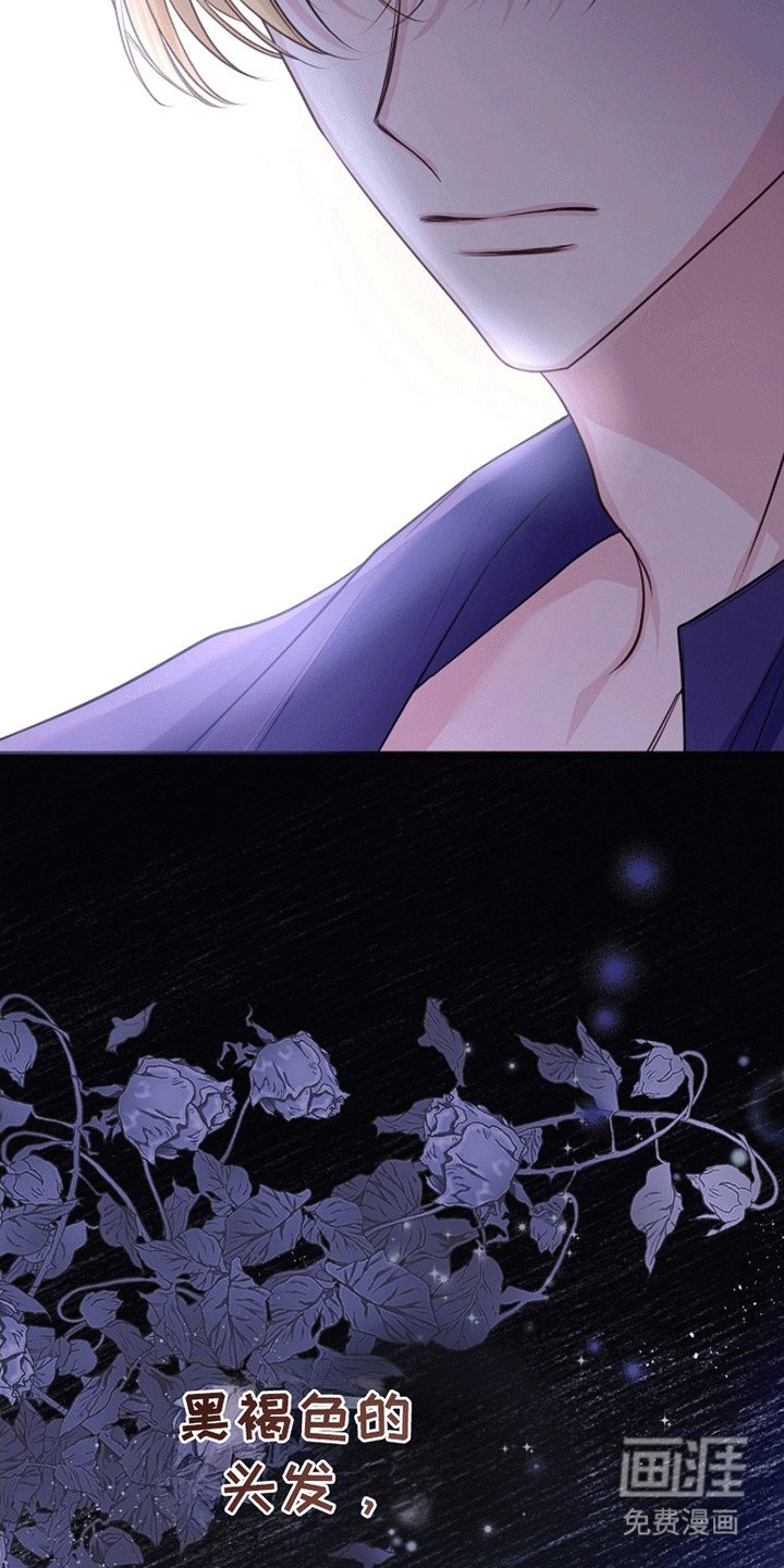 第12章：相似