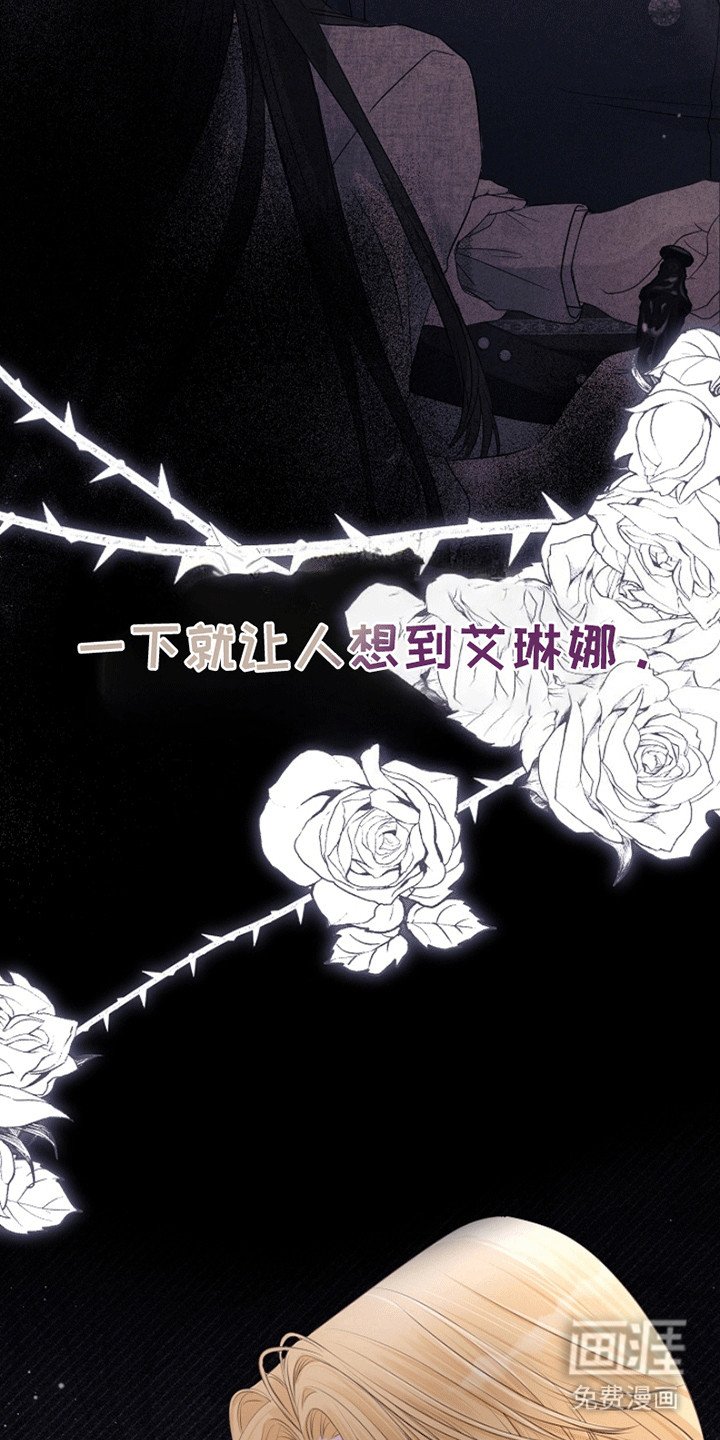 第12章：相似