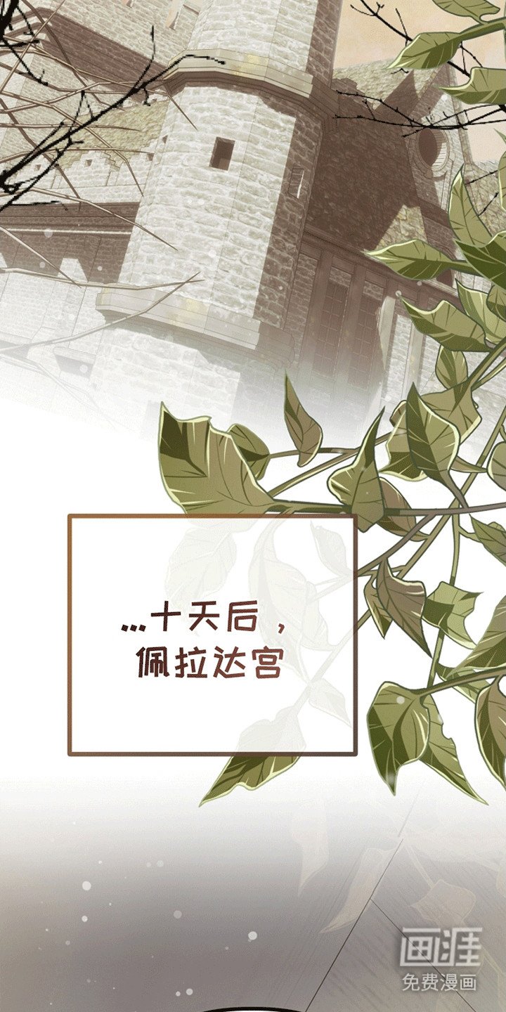 第17章：成为她的侍女