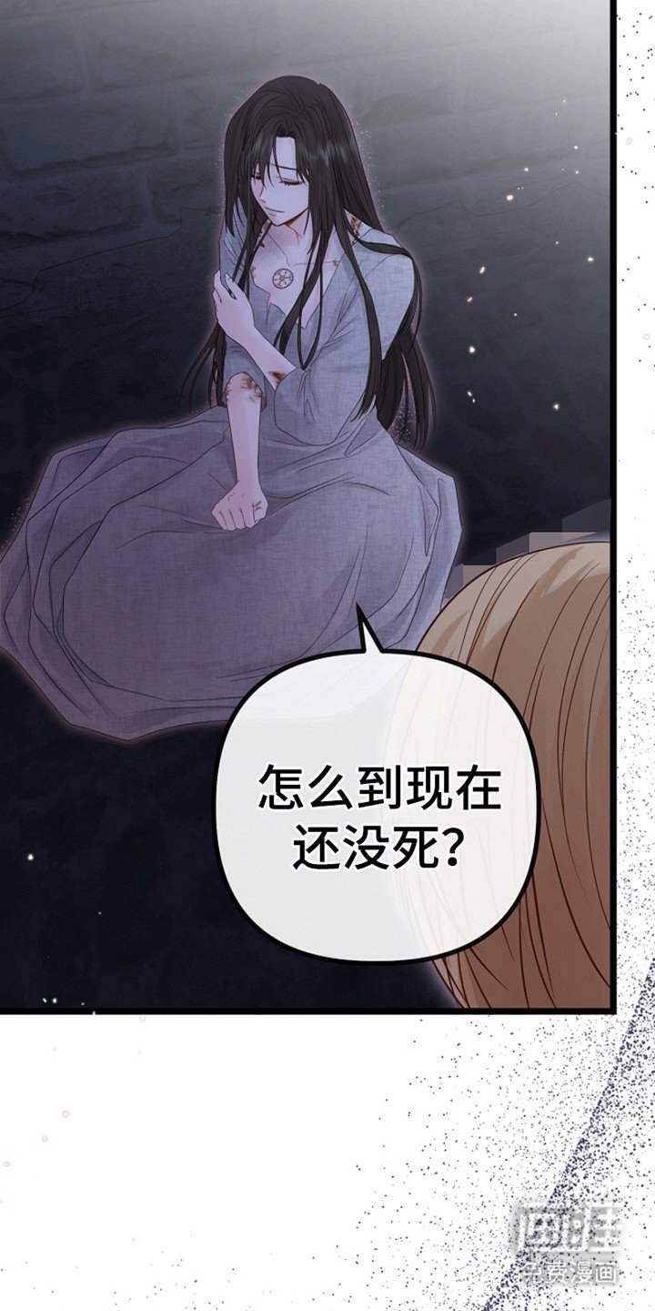 第2章：他来救她了