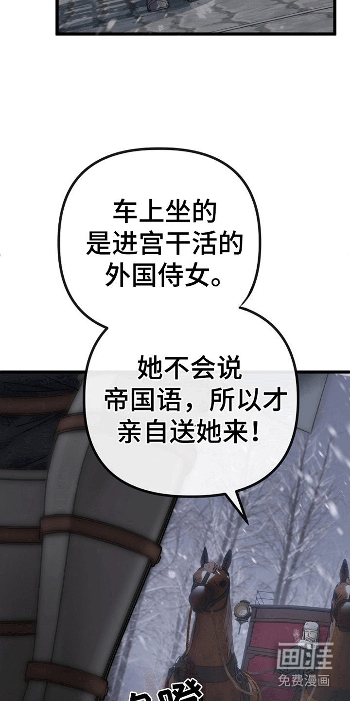 第7章：廉价的爱