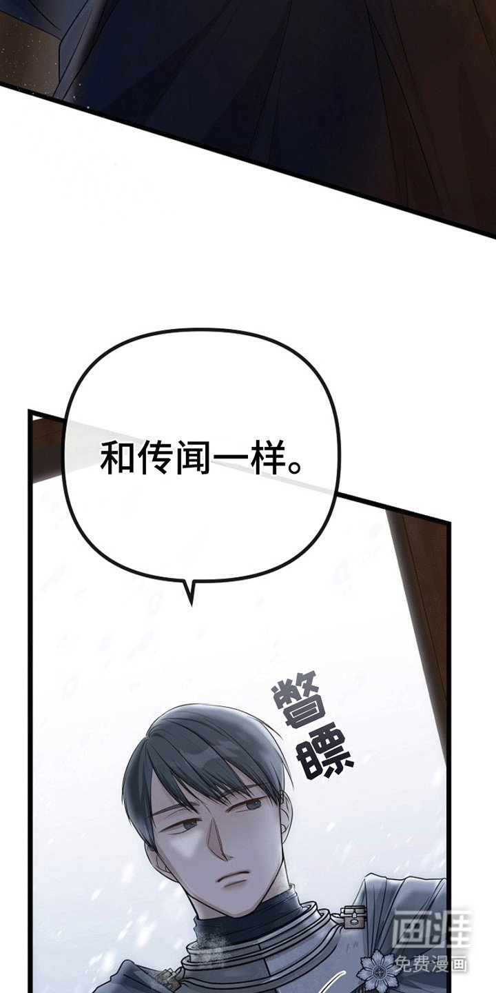 第7章：廉价的爱