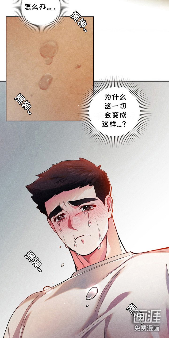 第11章：是他