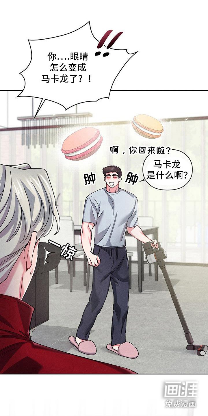 第16章：马克龙