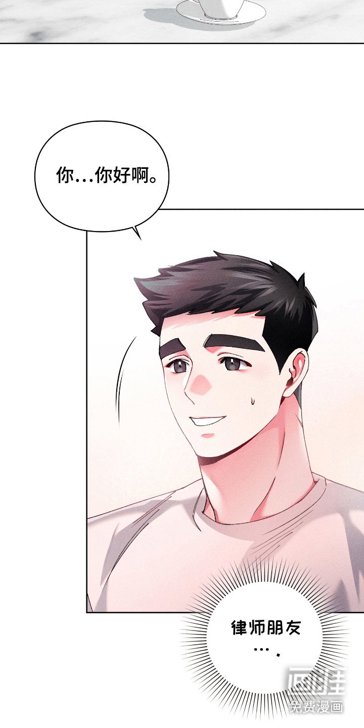 第19章：律师朋友