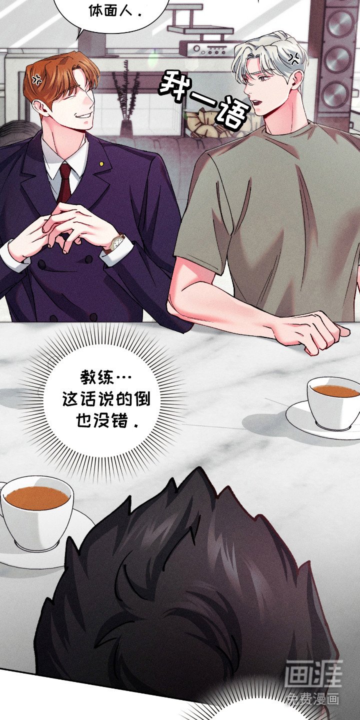 第19章：律师朋友