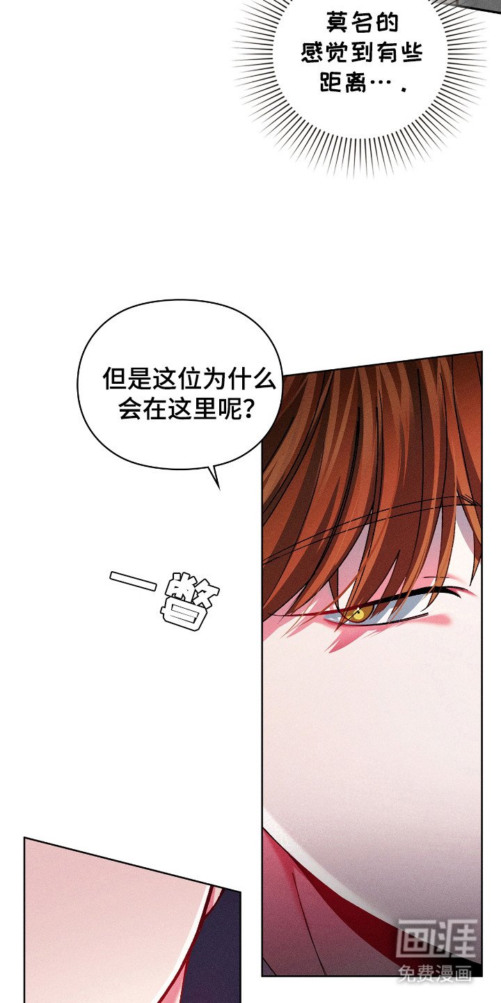 第19章：律师朋友