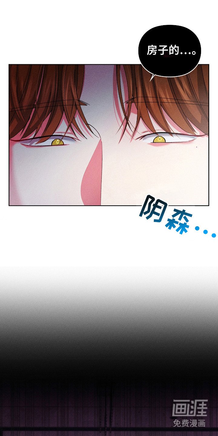 第19章：律师朋友