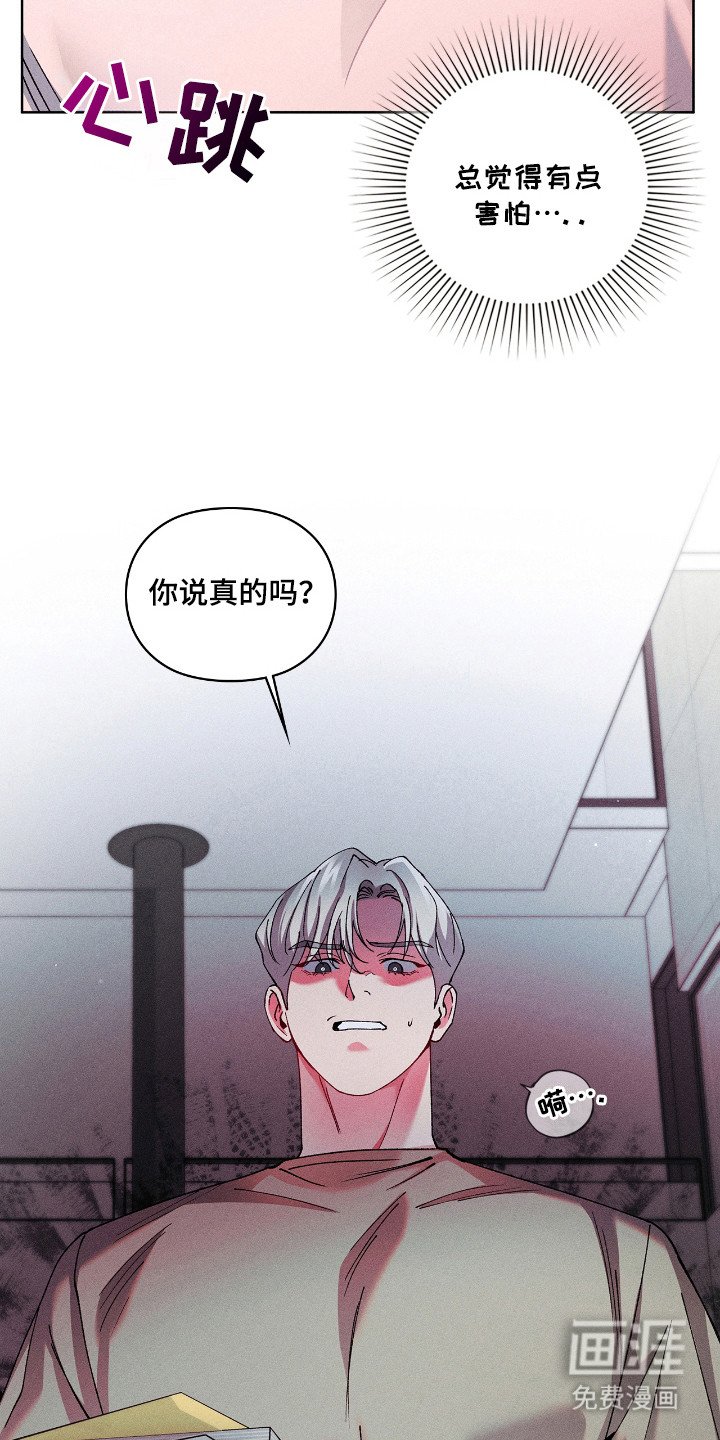第19章：律师朋友