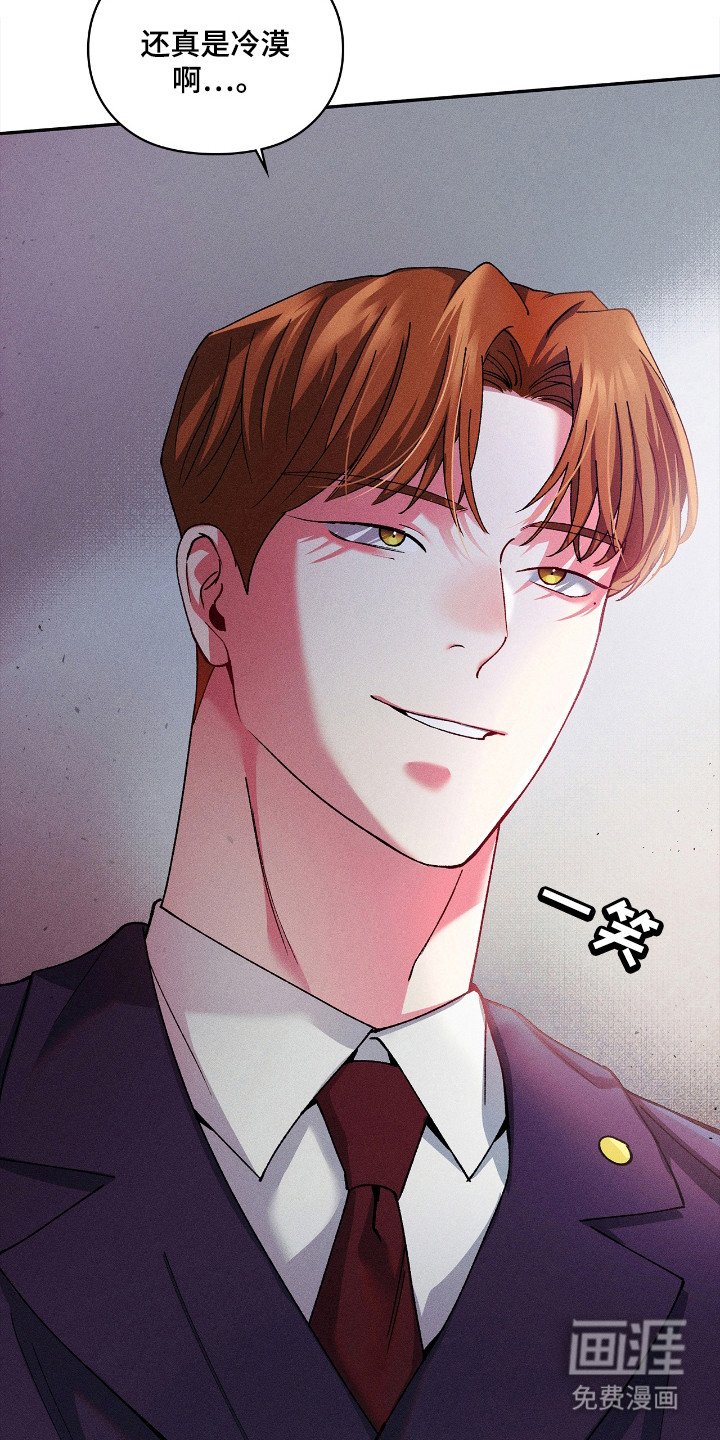 第19章：律师朋友