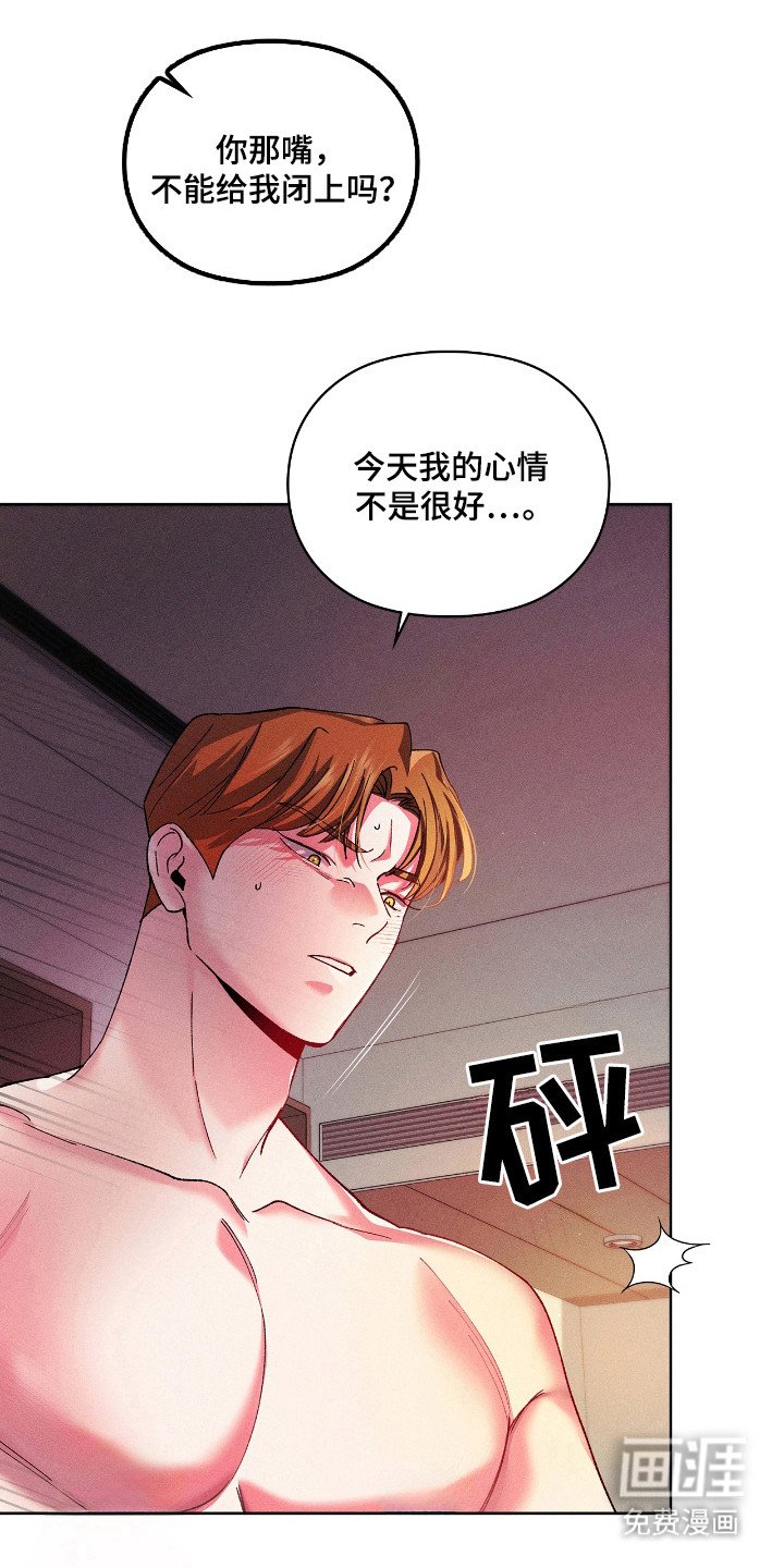 第20章：什么样子