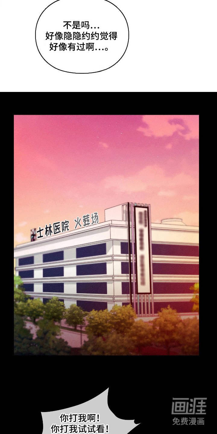 第20章：什么样子
