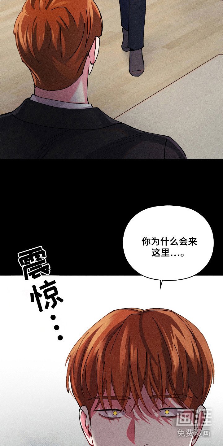 第20章：什么样子