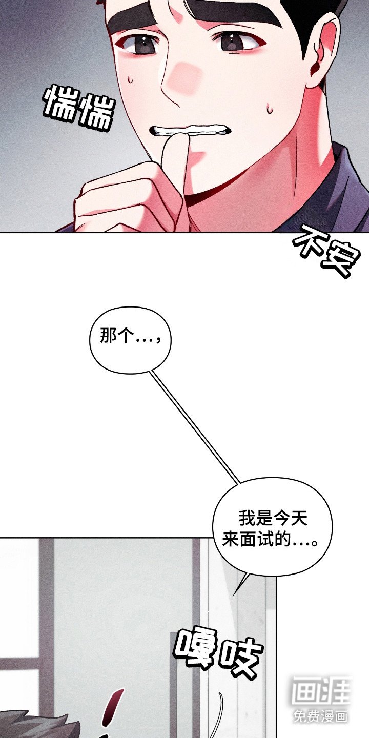 第21章：面试