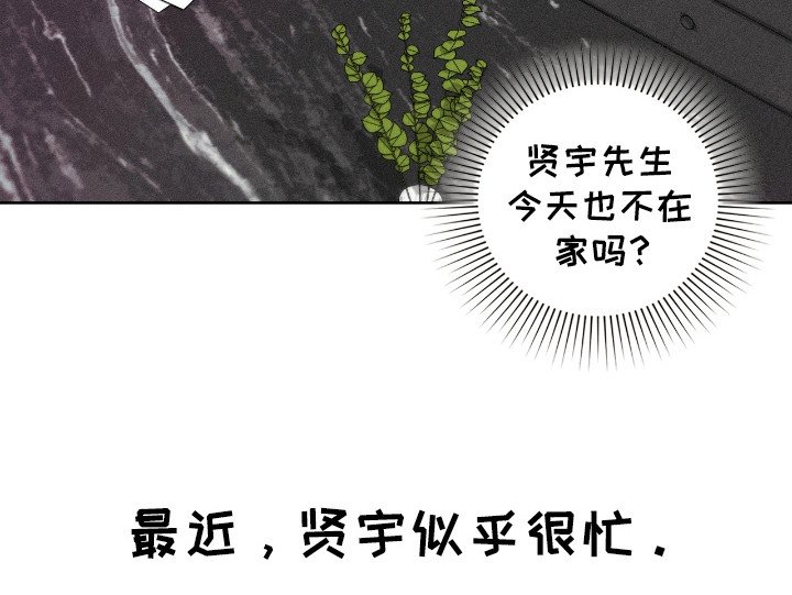 第21章：面试