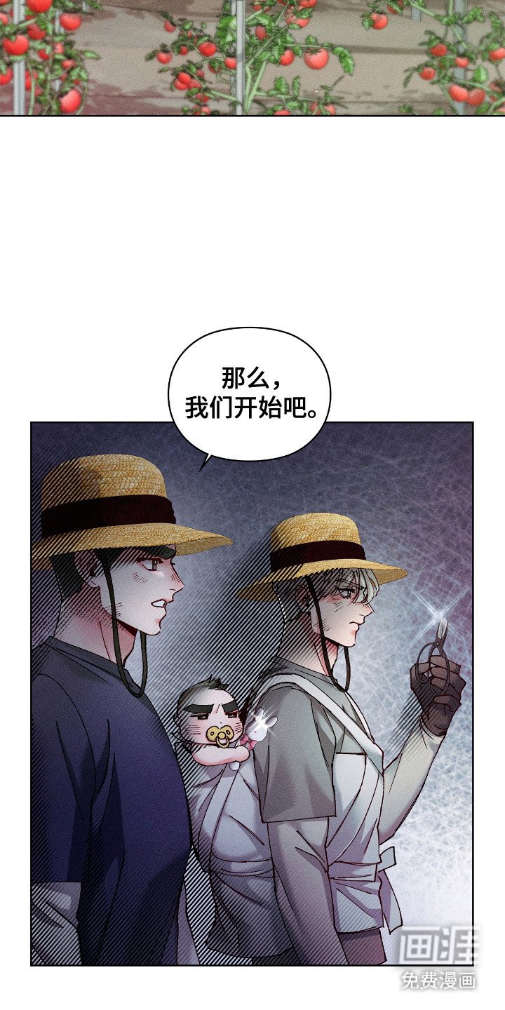第67章：坦白实情