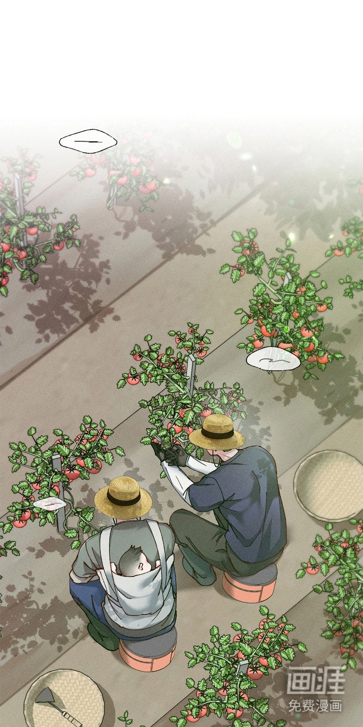 第67章：坦白实情