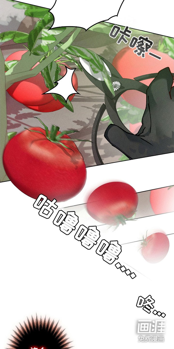 第67章：坦白实情