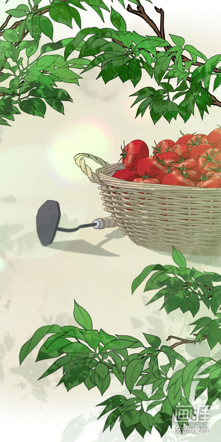 第68章：描绘生活（完结）