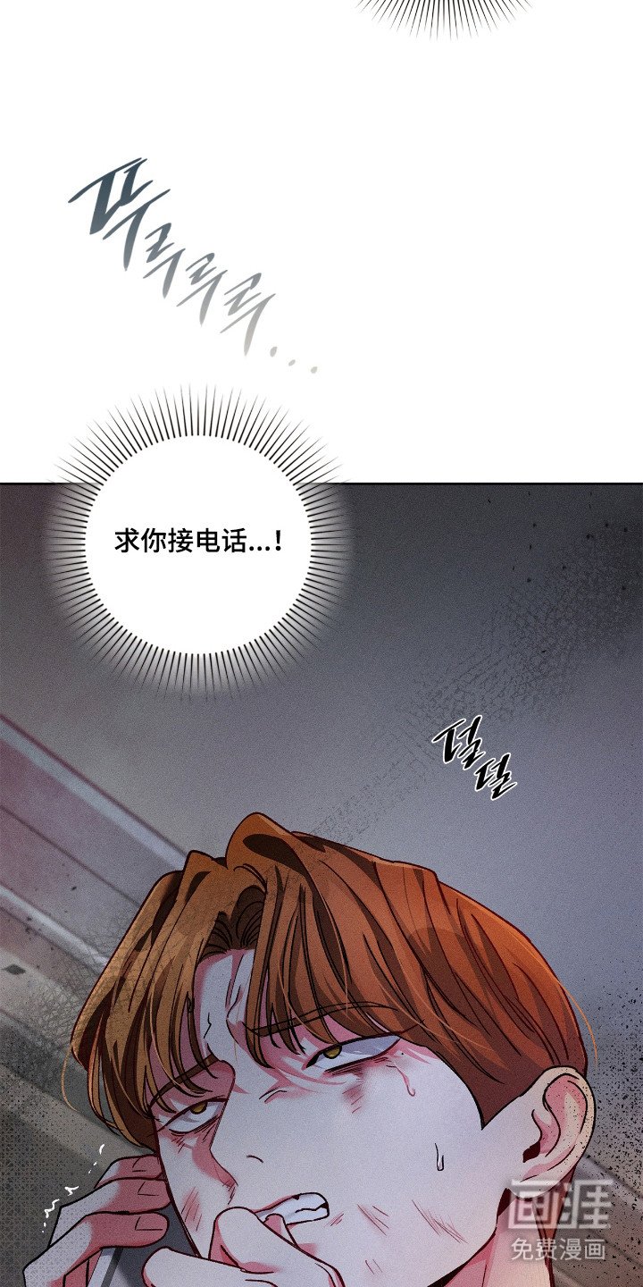 第71章：【番外】求助失败
