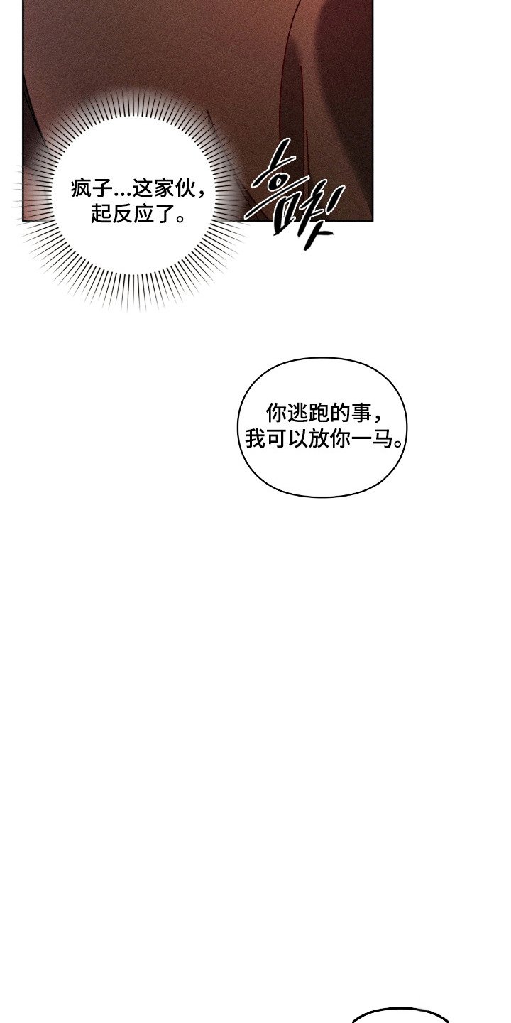 第71章：【番外】求助失败
