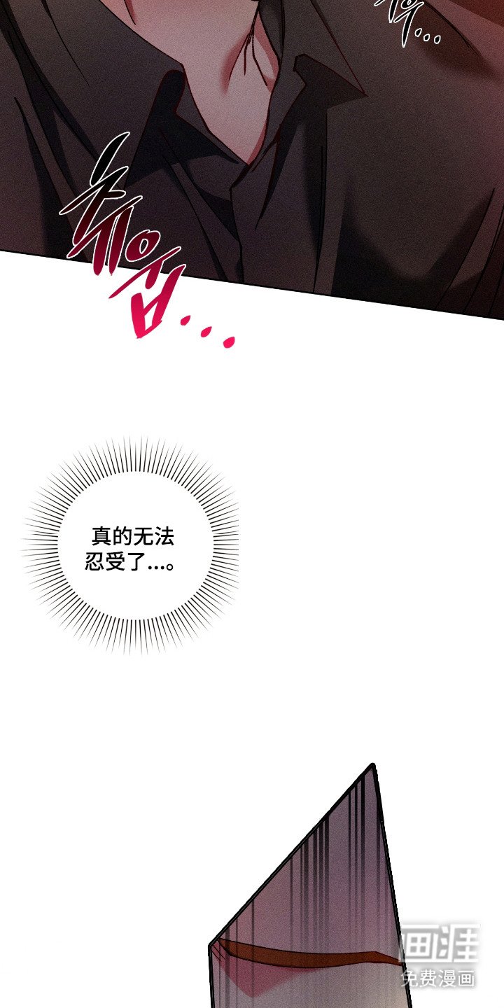 第72章：【番外】现场观看