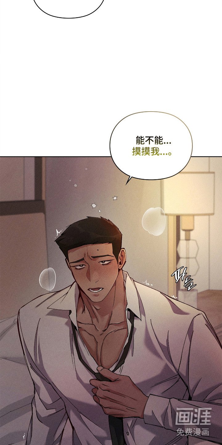 第75章：【番外】试试交往