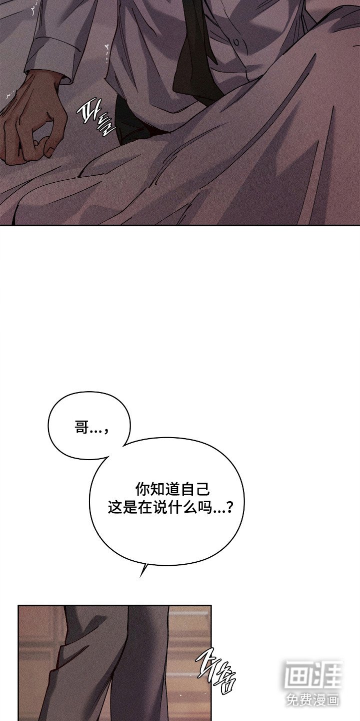 第75章：【番外】试试交往