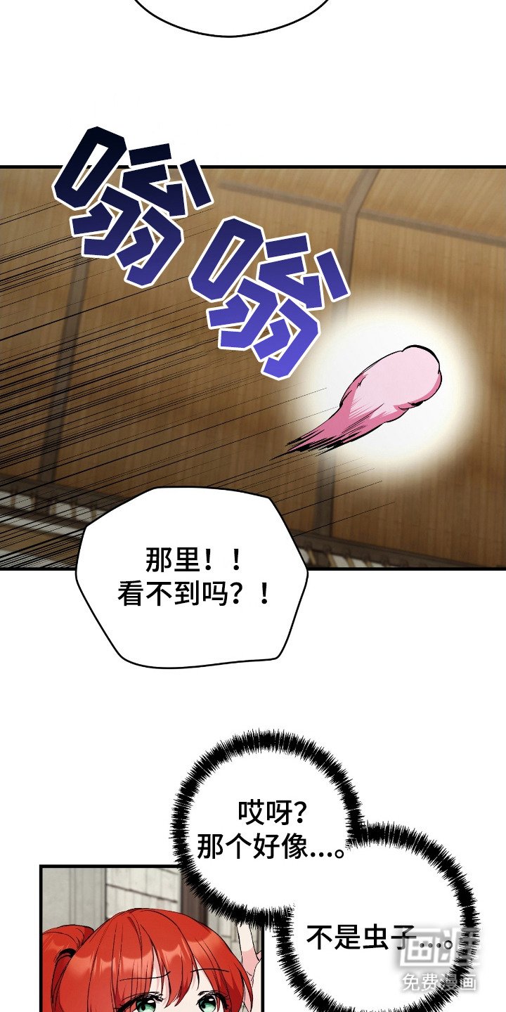 第5章：弄巧成拙
