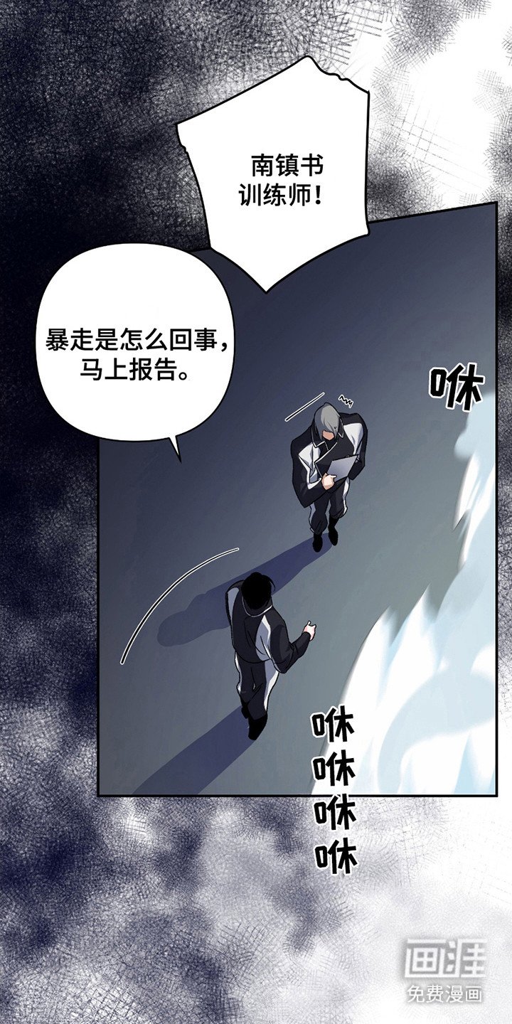 第13章：暴走