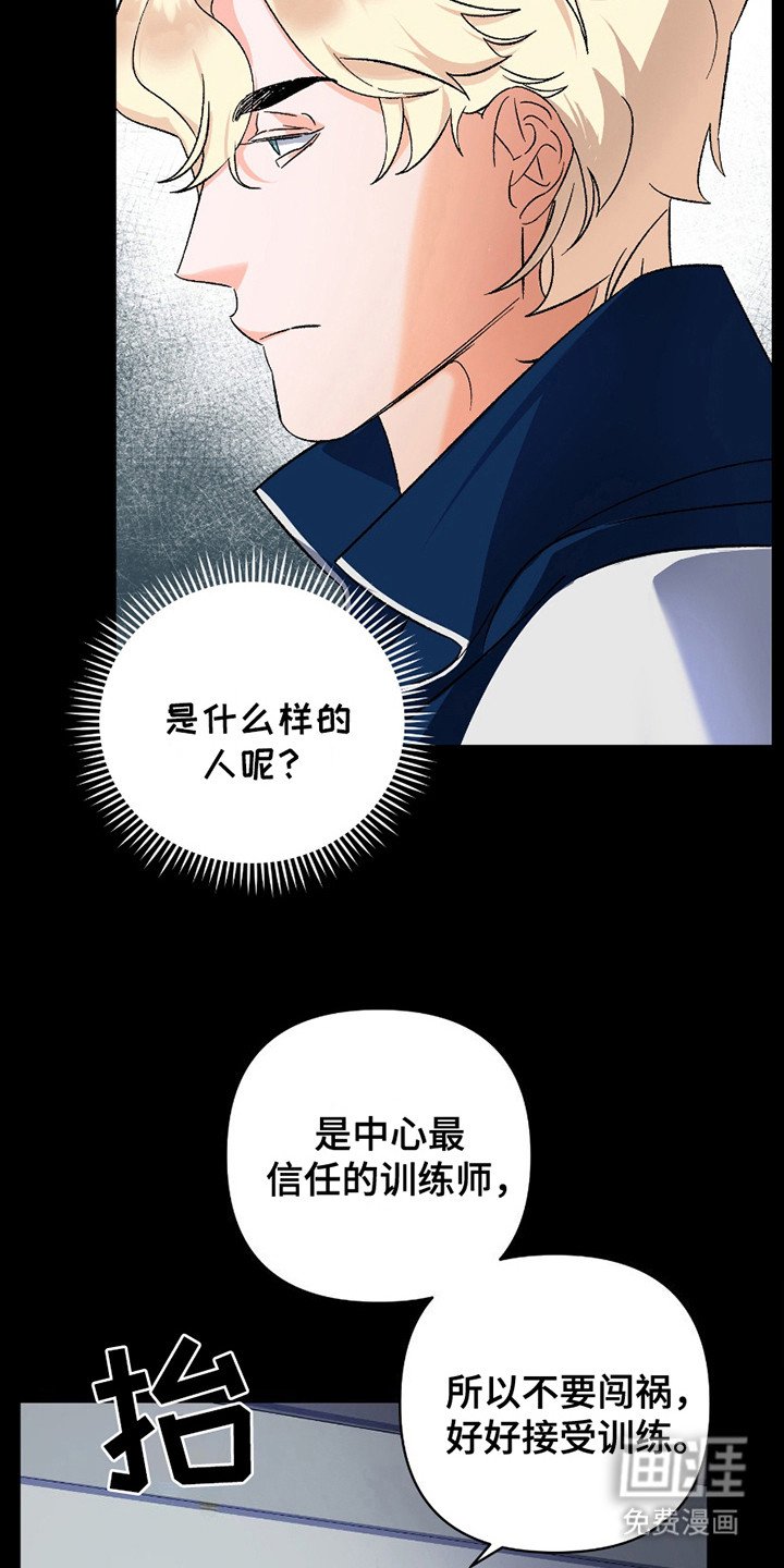 第8章：直视