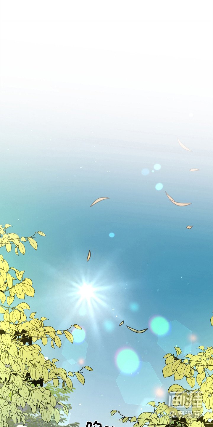第12章：第一次收到花