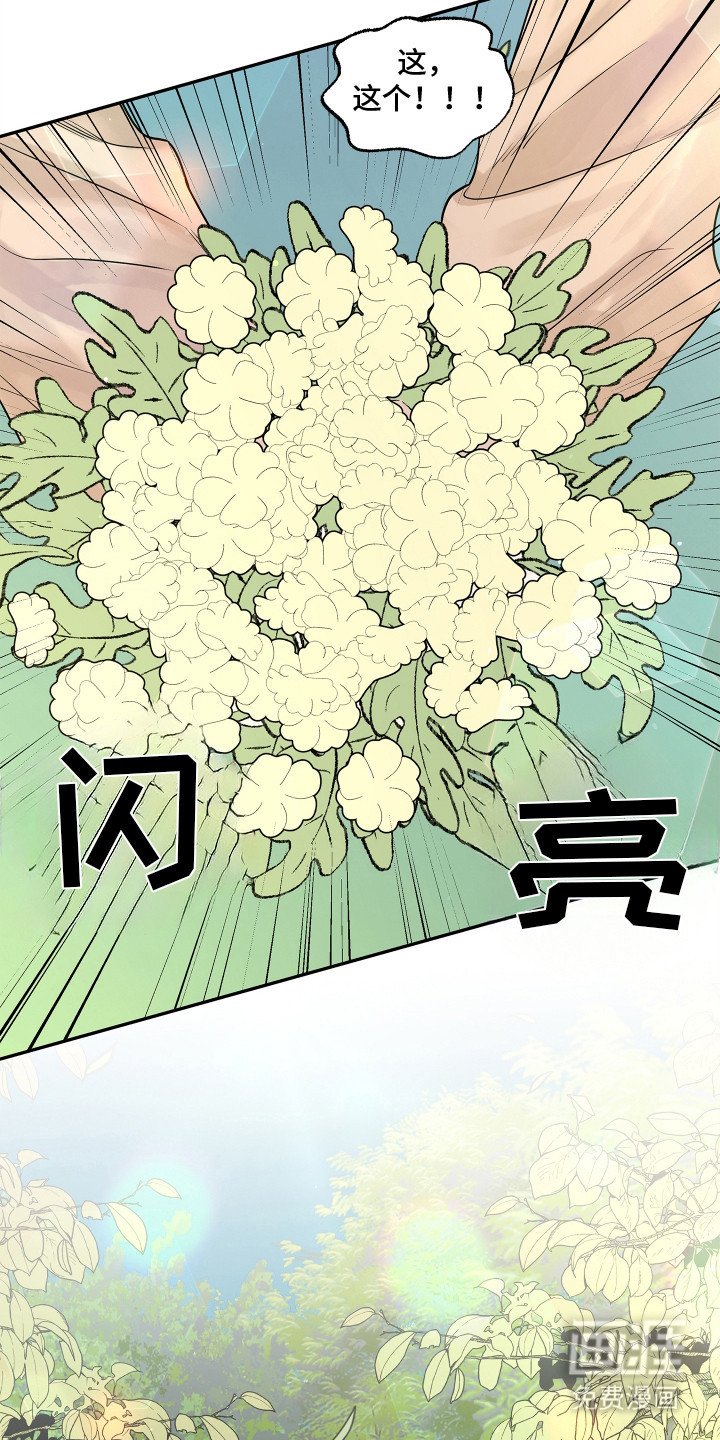 第12章：第一次收到花