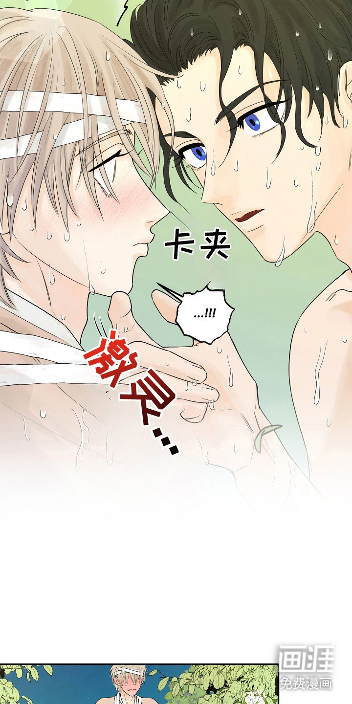 第3章：你的脸怎么了