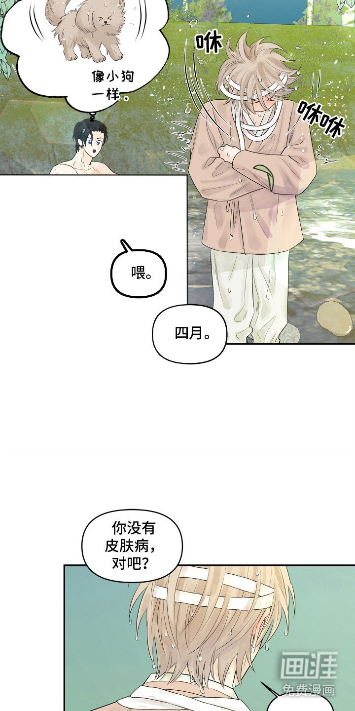 第3章：你的脸怎么了