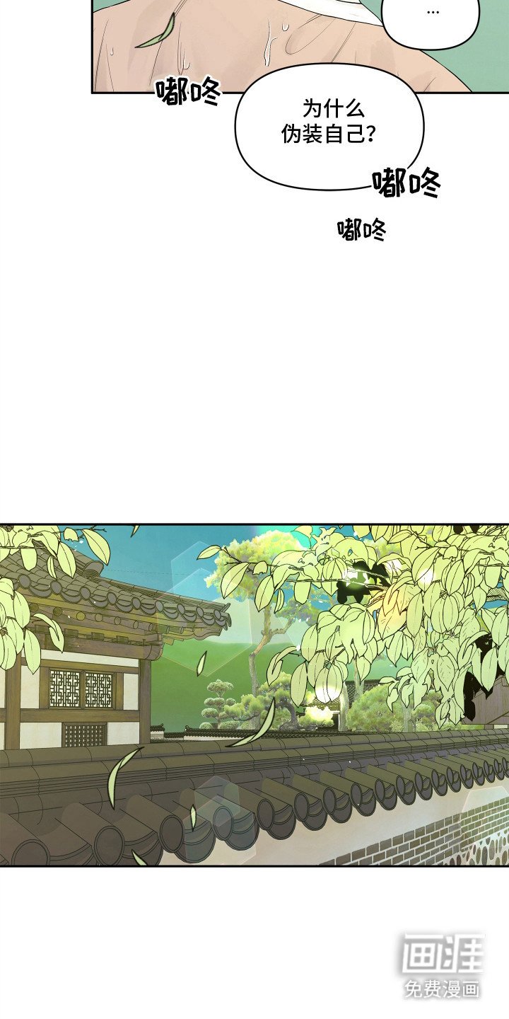 第3章：你的脸怎么了