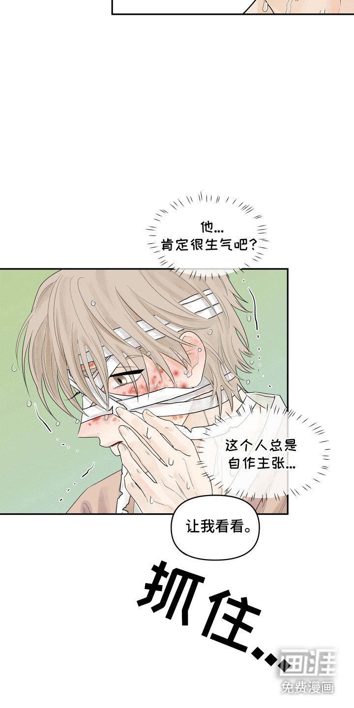 第3章：你的脸怎么了