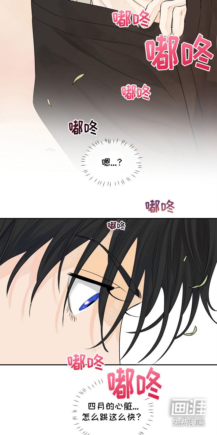 第5章：心愿