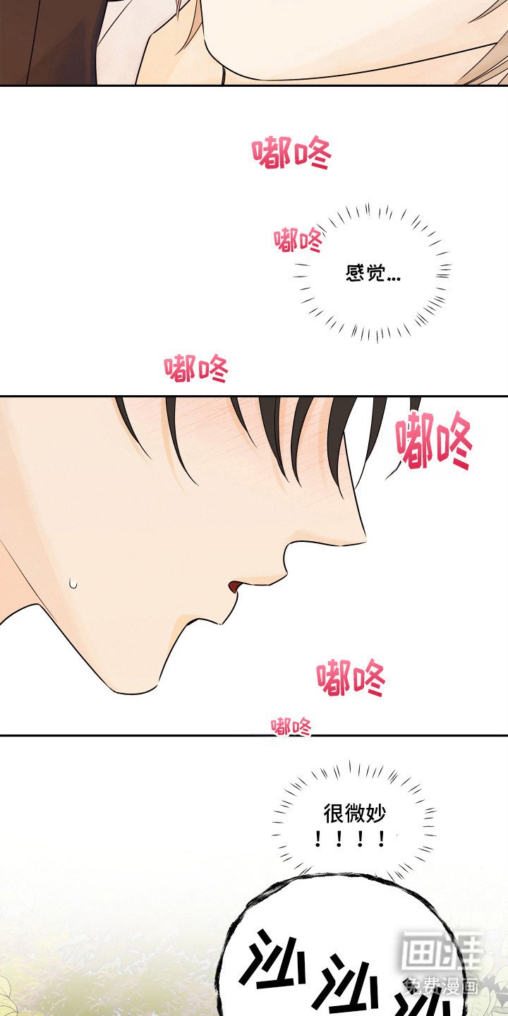 第5章：心愿